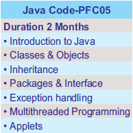 Professional course in Java