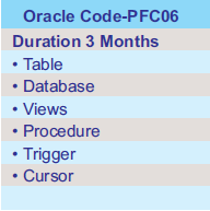 Professional course in Oracle